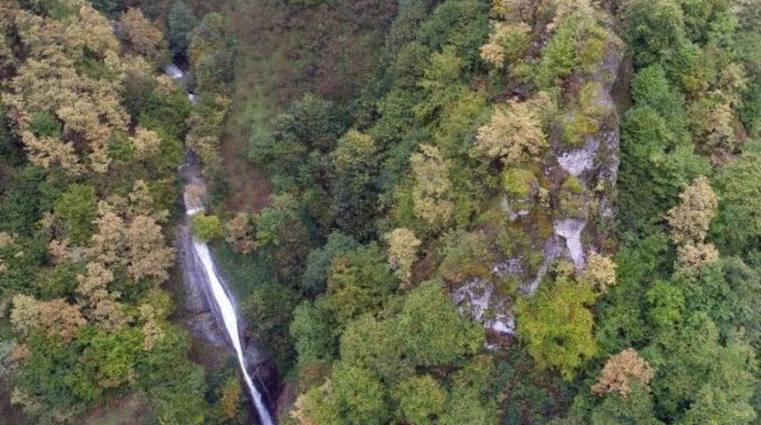 Turnasuyu Vadisi'nde renk c&uuml;mb&uuml;ş&uuml;