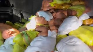 Yabancı uyruklu uyuşturucu taciri yakalandı! Van'da tonlarca uyuşturucu ele geçirildi