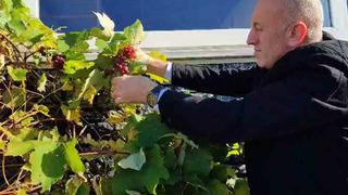 'İlginç bir durum' Görenler şaşkına döndü! 'Aynı ağustos aylarındaki gibi'