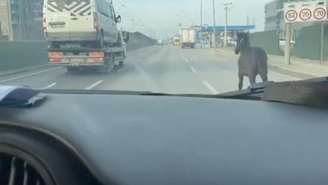 Yer: Bursa! Şaşırtan anlar böyle kaydedildi