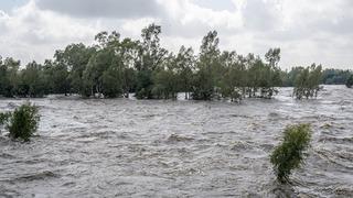 Kenya’daki sel felaketinde bilanço ağırlaştı! Can kaybı 142’ye yükseldi