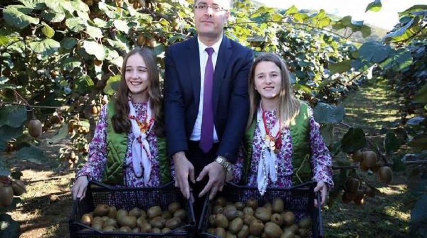 'Ordu kivisi' marka olacak