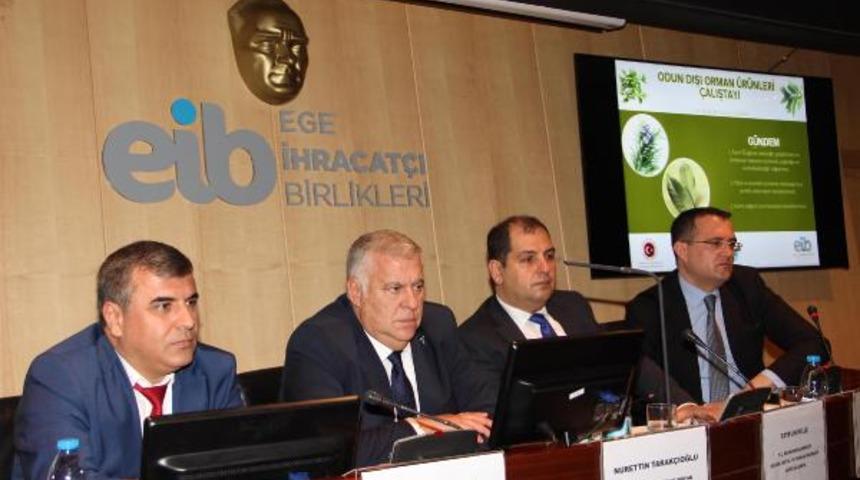 Odun dışı orman &uuml;r&uuml;nlerine talep artıyor