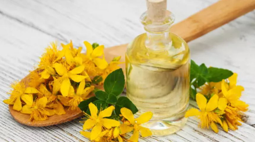 Binbir derde deva: Ağrı kesici ve iyileştirici etkisi gösteriyor! ’Bitkilerin Profesörü’ faydalarını sıraladı