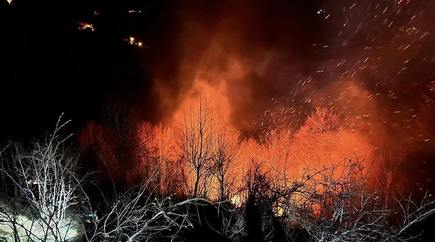 Ordu'da çıkan örtü yangını kontrol altına alındı