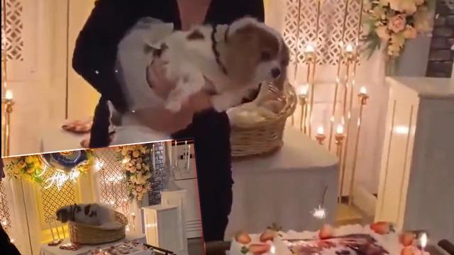 Yer: Düzce! Köpeği için doğum günü partisi düzenledi: 150 kişi katıldı