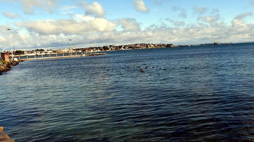 'Marmara Denizi'nde su sıcaklığı 50 yılda 2,5 derece arttı' Uzman isimden dikkat çeken açıklama