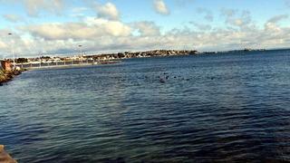 'Marmara Denizi'nde su sıcaklığı 50 yılda 2,5 derece arttı' Uzman isimden dikkat çeken açıklama