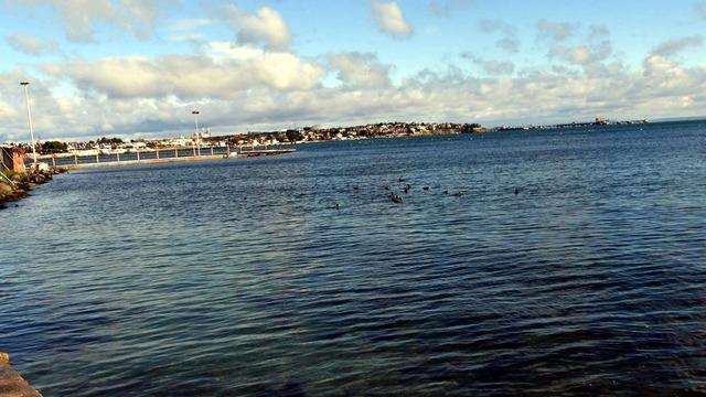 'Marmara Denizi'nde su sıcaklığı 50 yılda 2,5 derece arttı' Uzman isimden dikkat çeken açıklama