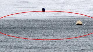 Marmara'daki deprem sonrası İstanbul'da tedirgin eden görüntü: Hala depremin etkisi var