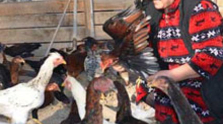 Kadın Girişimcinin Başarısı