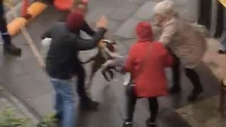 Pitbull dehşeti kamerada! Sokak ortasında kabusu yaşattı