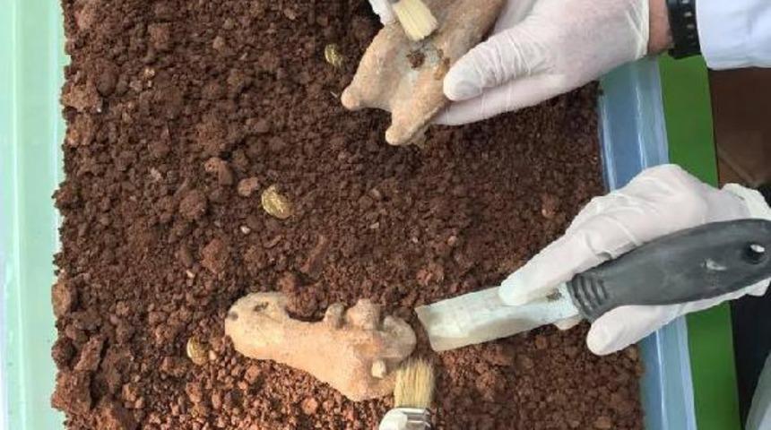 Gezici Bavul M&uuml;ze, &ccedil;ocuklarla buluşacak