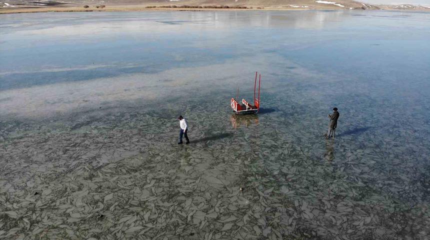 Soğuk hava nedeniyle gölün yüzeyi dondu! Buz üzerinde atlı kızakla gezinti yapılacak