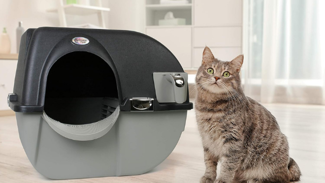 Kedi kumu temizlemeye son! İşte en iyi otomatik kedi tuvaletleri