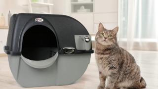 Kedi kumu temizlemekten bıkanlar için en iyi otomatik kedi tuvaletleri