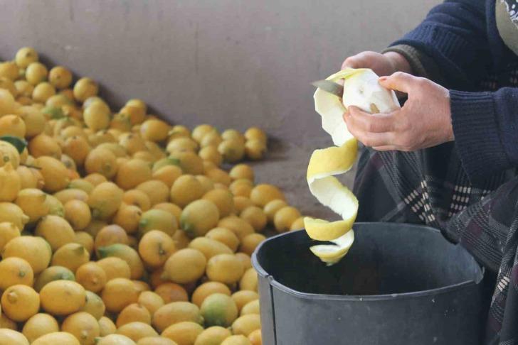 Kendisinin kilosu 30 kuruş, kabuğunun 17 TL! Evinin önüne 4 ton döktürdü 'Soyup kurutuyoruz, daha değerli' G5