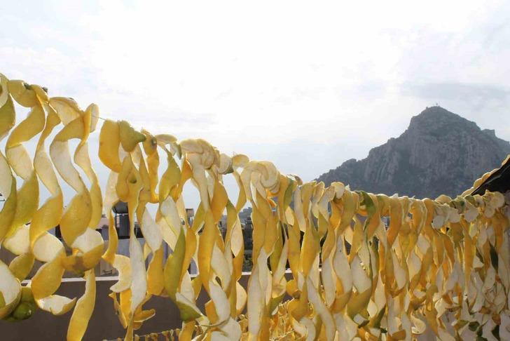 Kendisinin kilosu 30 kuruş, kabuğunun 17 TL! Evinin önüne 4 ton döktürdü 'Soyup kurutuyoruz, daha değerli' G3