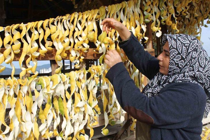 Kendisinin kilosu 30 kuruş, kabuğunun 17 TL! Evinin önüne 4 ton döktürdü 'Soyup kurutuyoruz, daha değerli' G1