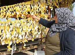 Kendisinin kilosu 30 kuruş, kabuğunun 17 TL! Evinin önüne 4 ton döktürdü 'Soyup kurutuyoruz, daha değerli'