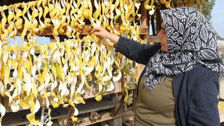 Kendisinin kilosu 30 kuruş, kabuğunun 17 TL! Evinin önüne 4 ton döktürdü 'Soyup kurutuyoruz, daha değerli'