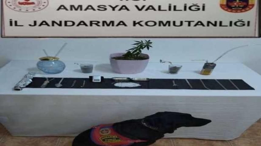 Suluova’da uyuşturucu operasyonu: 1 gözaltı