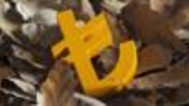 TL'deki düşüşün 5 nedeni