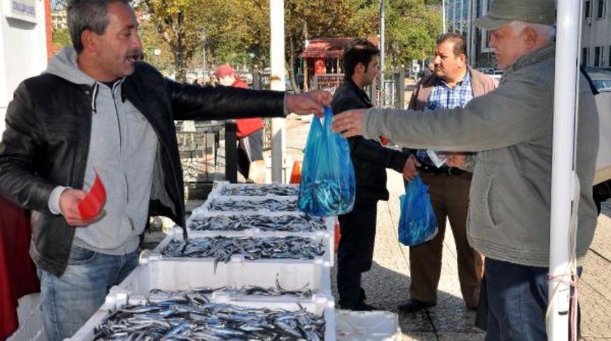 Zonguldak'ta hamsinin kilosu 1.5 liraya d&uuml;şt&uuml;