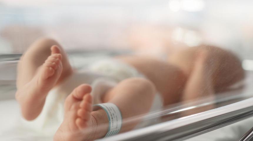 'Gerçekten büyük bir şeye rastlamış olabiliriz' Yarık damak, alışılmadık derecede küçük kafalar... ABD'de çok sayıda bebekte benzer doğum kusurları tespit edildi! Uzmanlar ondan şüpheleniyor