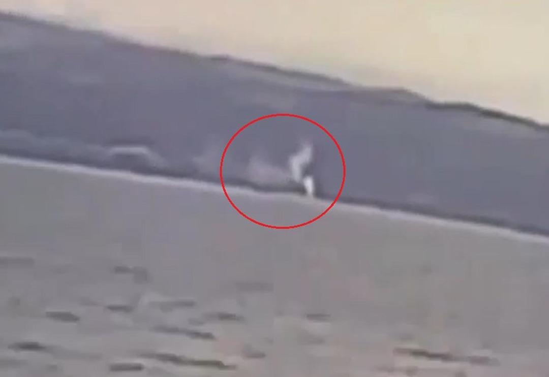 'Karada da g&ouml;rebiliyoruz' 5.1'lik depremden 7 dakika &ouml;nce denizden y&uuml;kselmiş! İş yerinin g&uuml;venlik kamerası kaydetmiş 'Fay hattının muhtemel kenarı burası'