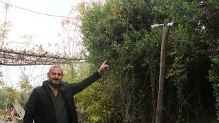 Gerçek, kamera görüntülerini izleyince ortaya çıktı! Teker teker ortadan kaybolan 50’den fazla tavuğun sırrı çözüldü