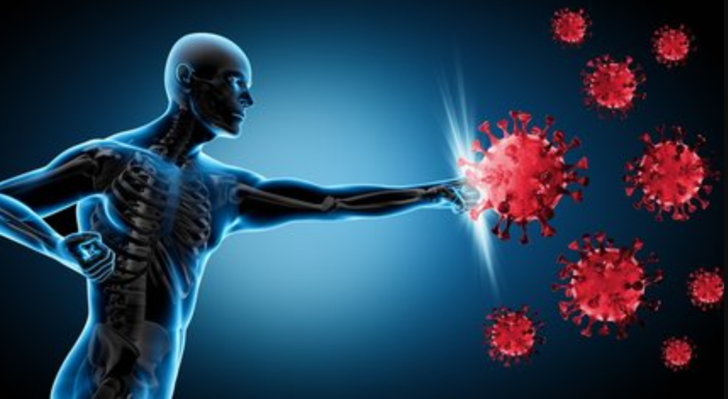 Günde bir avuç kabak çekirdeği yerseniz ne olur? Kabak çekirdeğinin 10 faydası G3