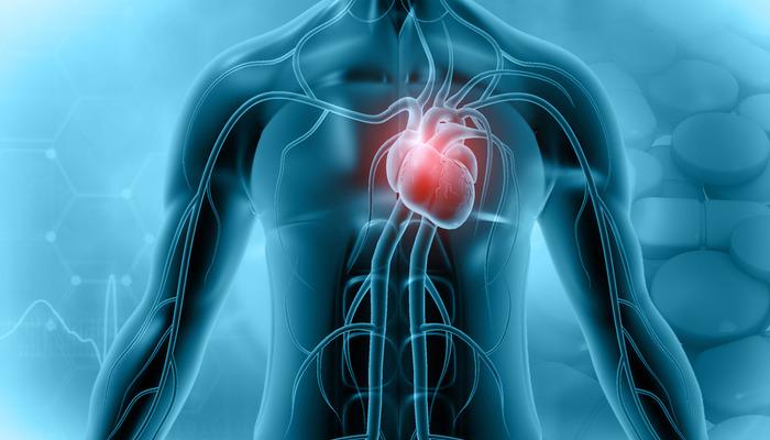 Kalp kası iltihabı (Miyokardit) nedir? 
