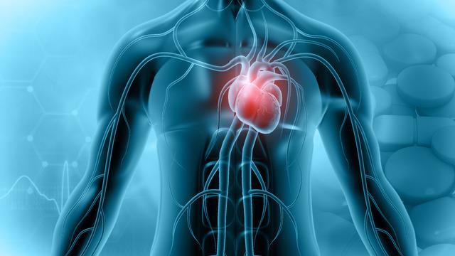 Kalp kası iltihabı (Miyokardit) olduğunu nasıl anlarız? Kalp kası iltihabı tehlikeli mi?