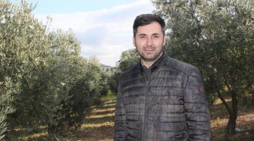 Köylüler, devlet desteğiyle diktikleri zeytin fidanları yüzünden mahkemelik oldu