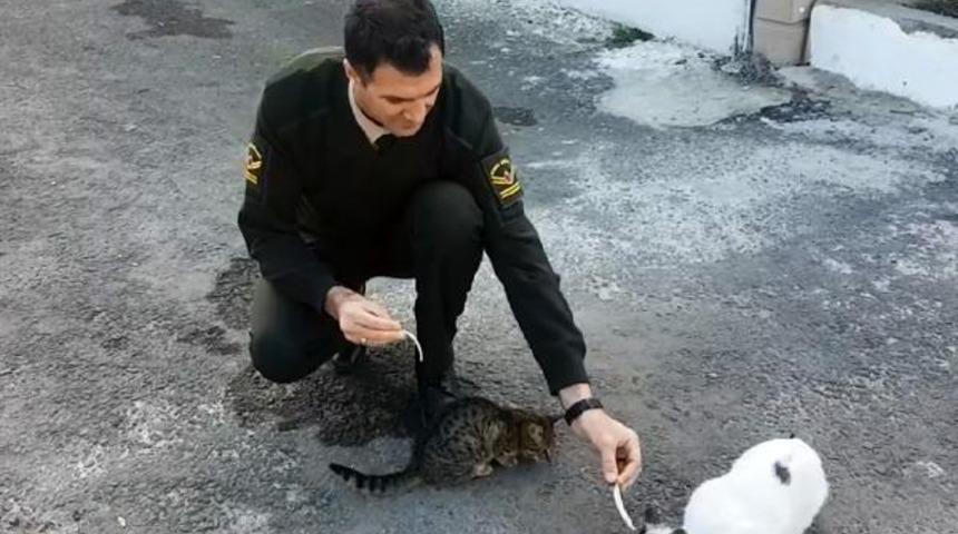 Jandarmadan örnek hayvan sevgisi