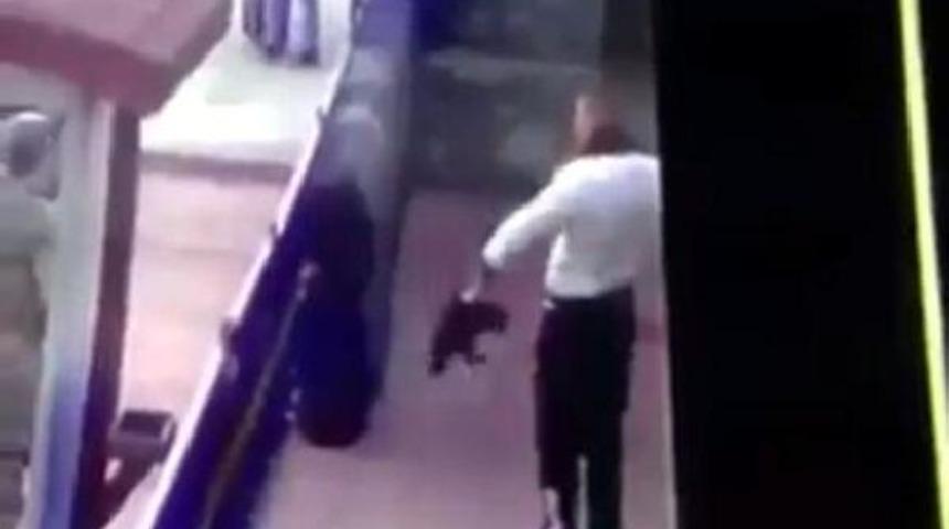 Erzincan'da askerden kediye işkenceye büyük tepki