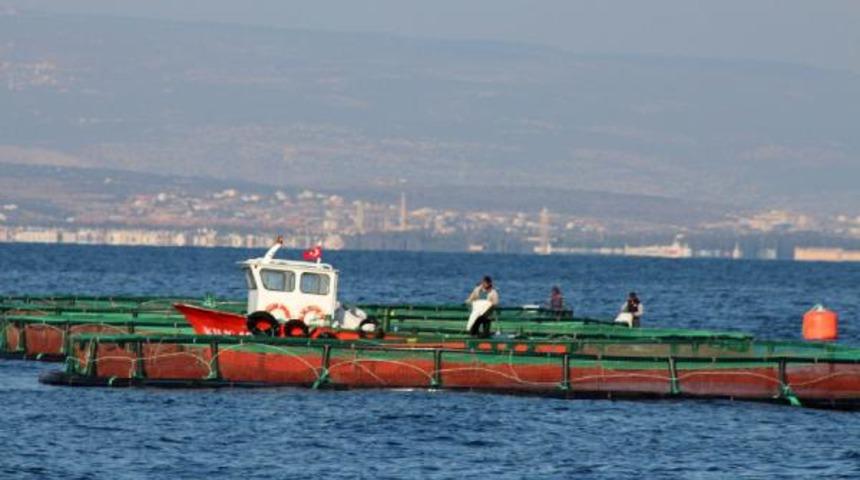 MERÇED: Balık çiftlikleri kurulmaya başlandı