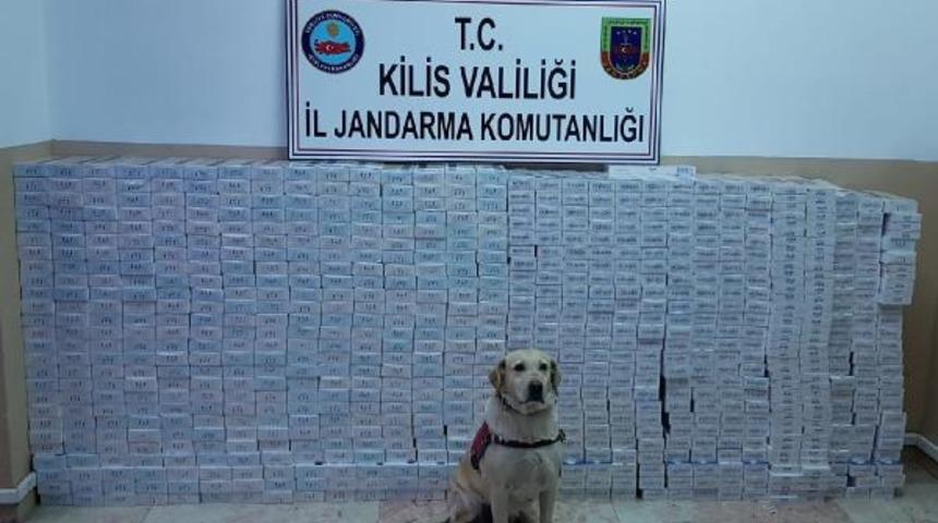 Kilis'te 8 bin 450 paket kaçak sigara ele geçirildi