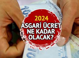 ASGARİ ÜCRET 2024 NE ZAMAN AÇIKLANACAK? Asgari ücret 2. toplantısı ne zaman?