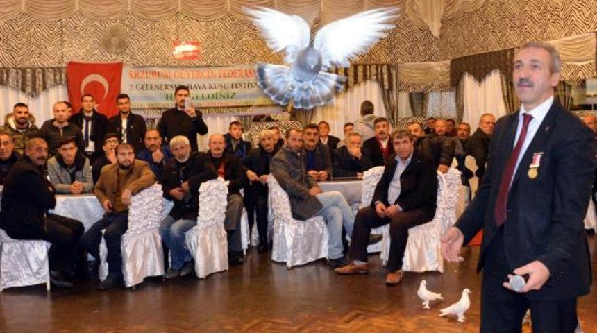 Taklacı güvercinler yarıştırıldı
