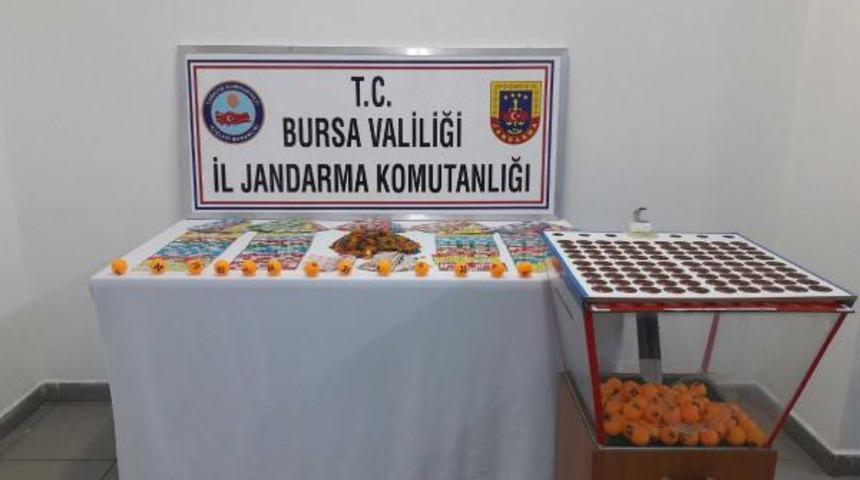 Ağaçları koruma derneğine kumar baskını