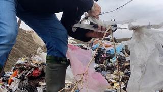 Sesi duyar duymaz yardıma gitti, Kargayı o halde görünce hemen müdahale etti