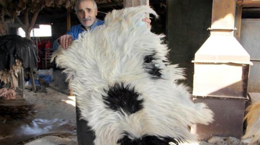 Öğretmenliği bıraktı, 35 yıldır baba mesleğini yapıyor