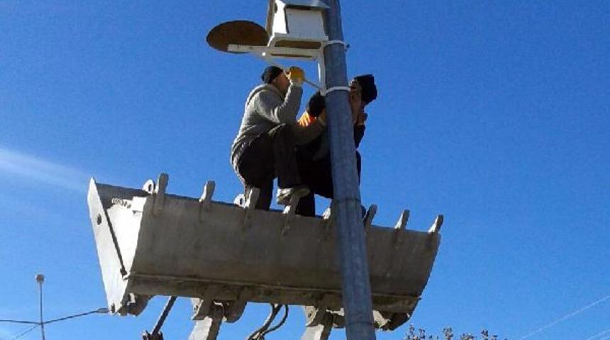 Van'da ağaçlara ve direklere kuş yuvaları koyuldu