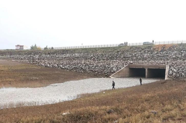 Gaziantep'te korkutan görüntü!  'Evcil hayvanlarımız ölebilir' G5