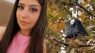 Kahreden çanta! 6 gün sonra 10 metre ilerdeki ağaçta buldular