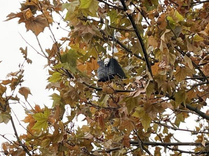 Kahreden çanta! 6 gün sonra 10 metre ilerdeki ağaçta buldular G3
