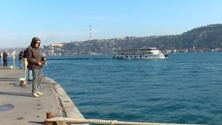 İstanbul Boğazı'nda dikkat çeken manzara! Görenler şaşkın, gittikçe artıyor 'Genelde kış aylarında oluyor'