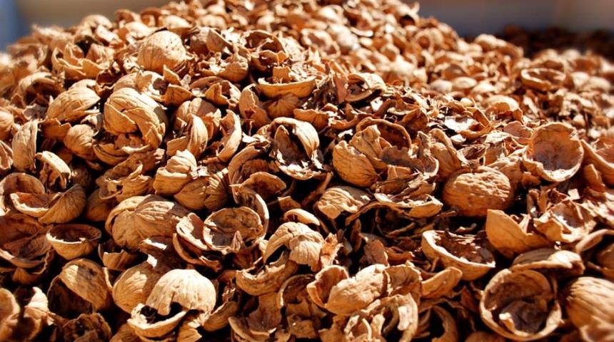 Kendisi kadar kabuğu da faydalı! &Ccedil;&ouml;pe atmadan &ouml;nce bir kez daha d&uuml;ş&uuml;n&uuml;n! Kanseri engelliyor, kalp sağlığnını koruyor 